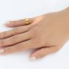 EXPLORO PINKIE RING // gold-plated